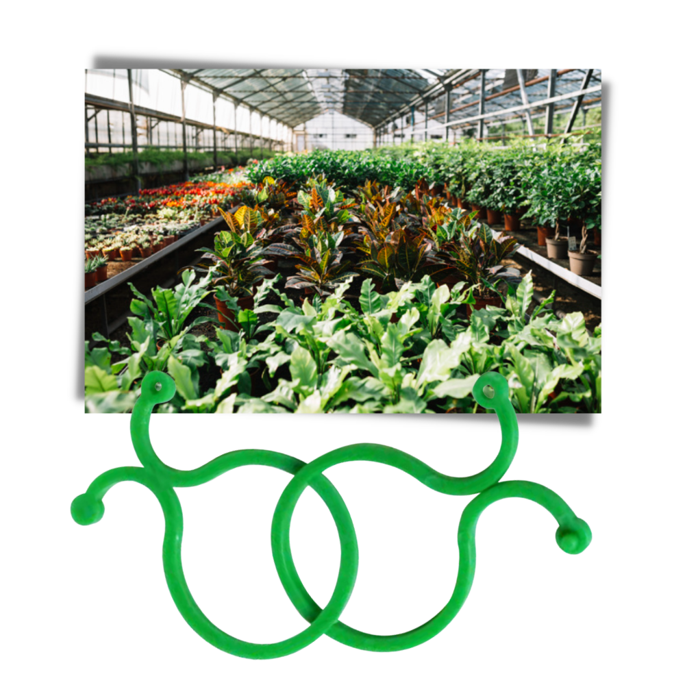 Pakke med klemmer til haveplanter - Ozerty