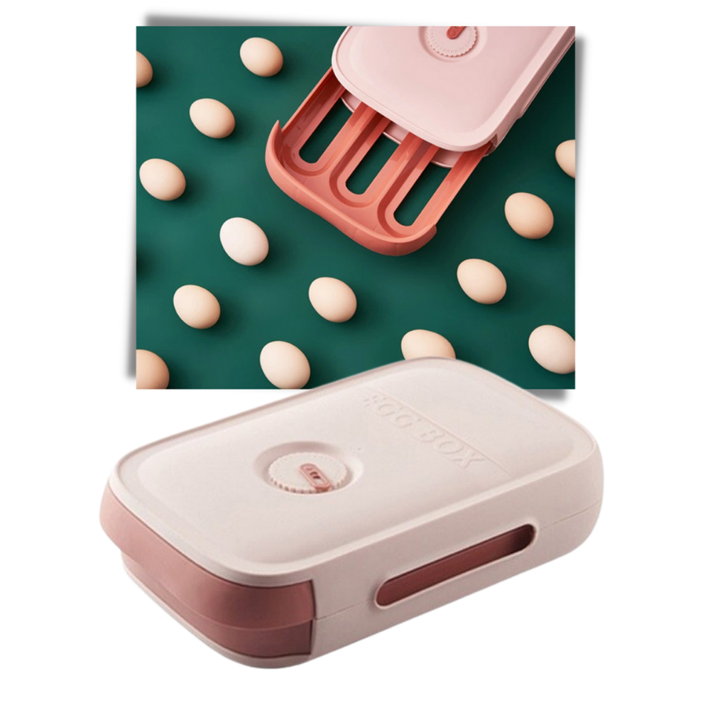 Opbevaringsboks til æg i skuffe - Ozerty