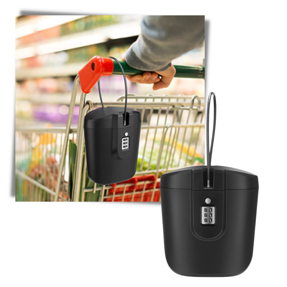 Bærbar boks med håndtag - Ozerty