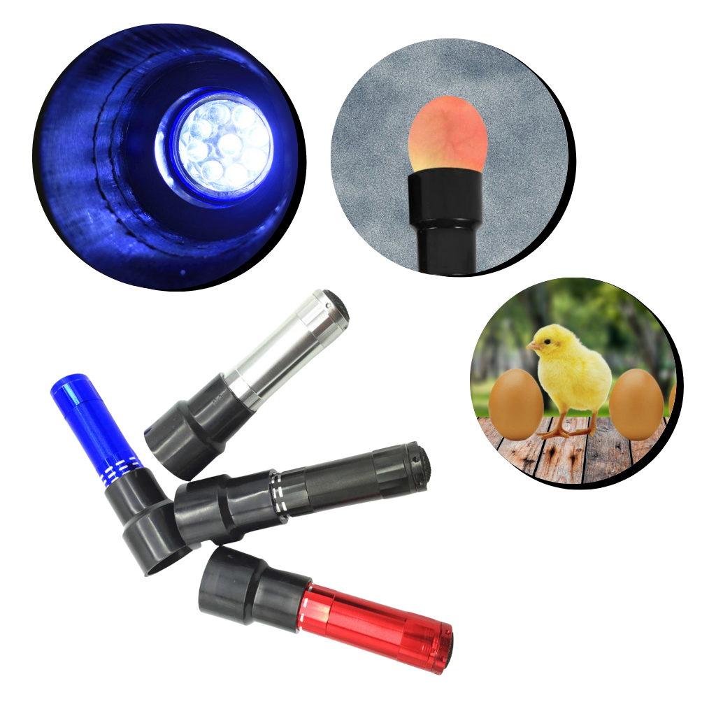 Æglysningslampe - Ozerty