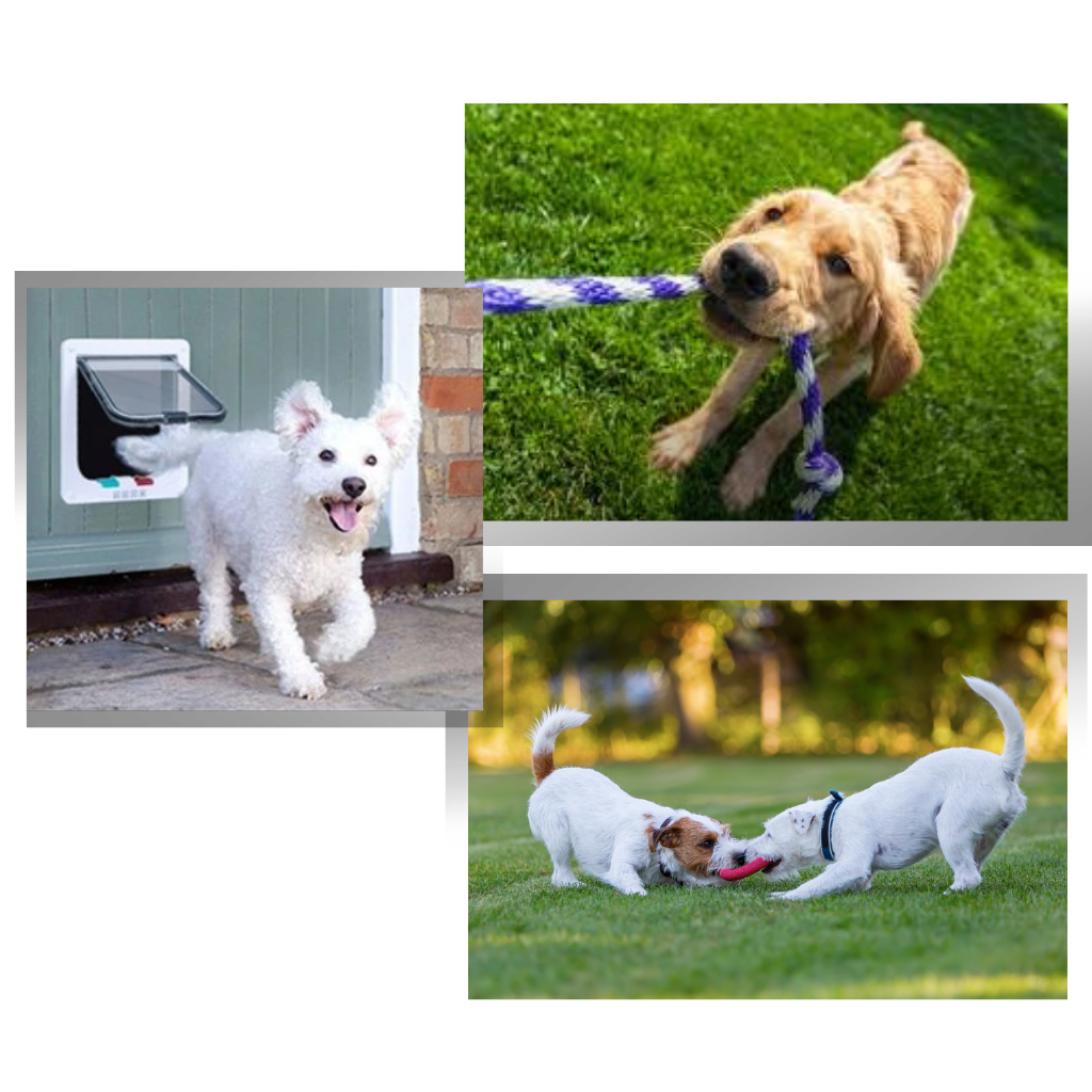 Dør med kattelukning - Ozerty