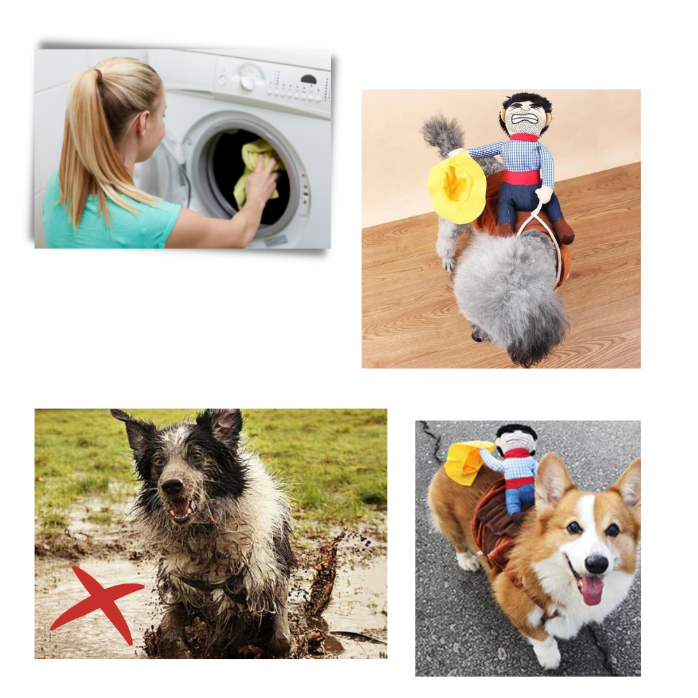 Cowboy-hundkostume - Ozerty