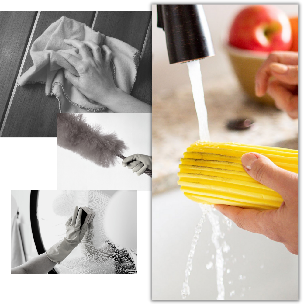 Multifunktionel absorberende svamp - Ozerty