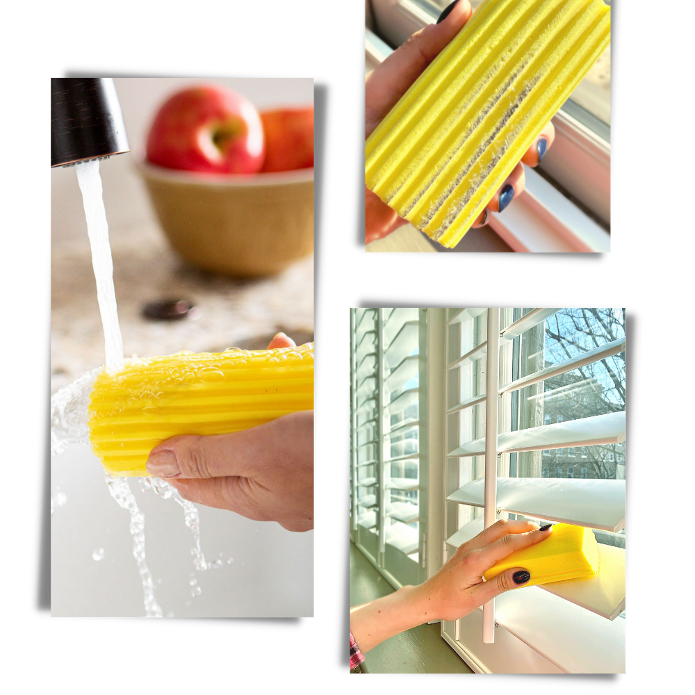 Multifunktionel absorberende svamp - Ozerty