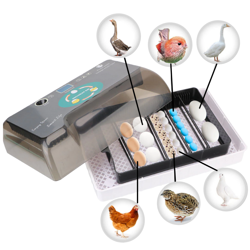 Digital Automatisk Rugemaskine - Ozerty