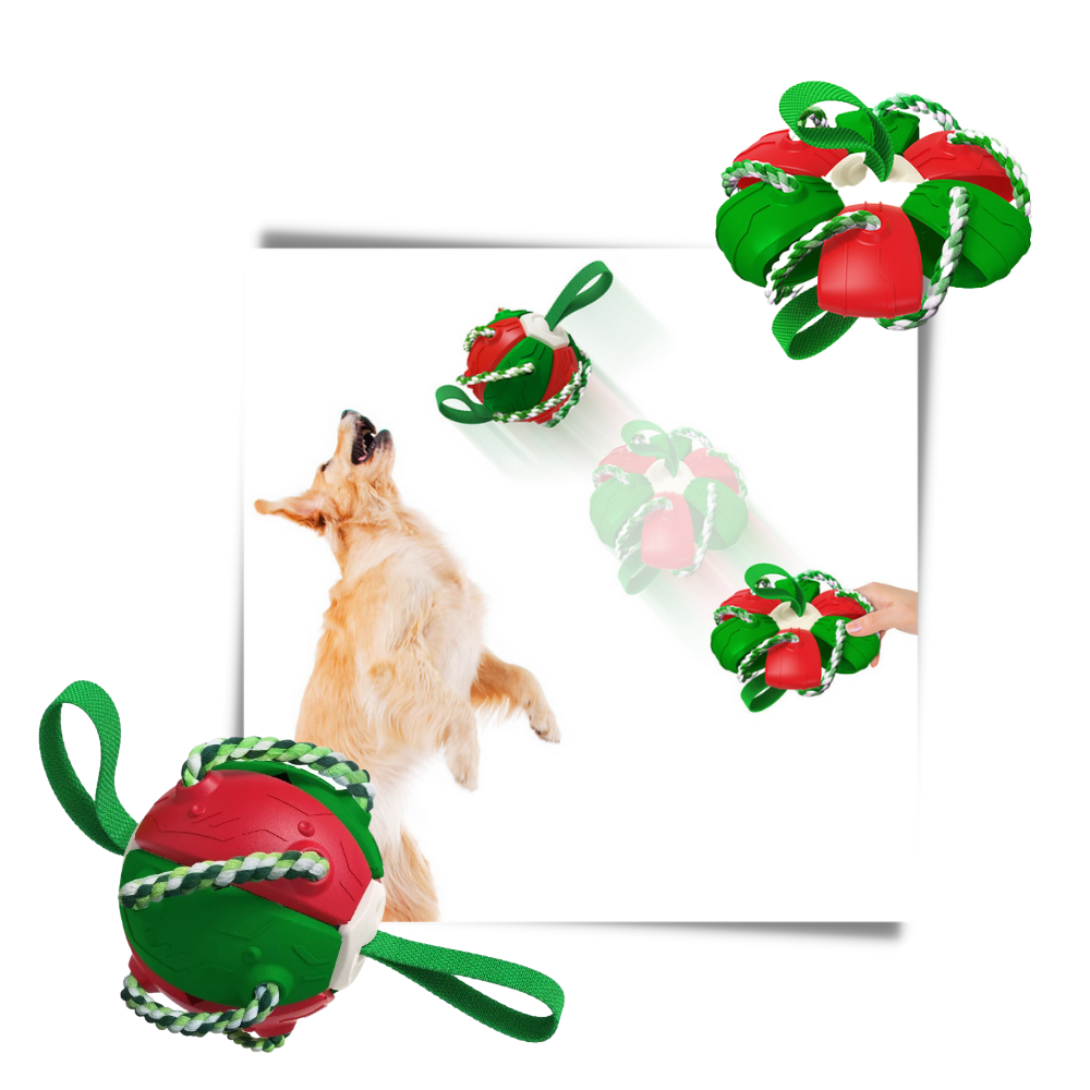 Frisbee bold hundelegetøj - Ozerty