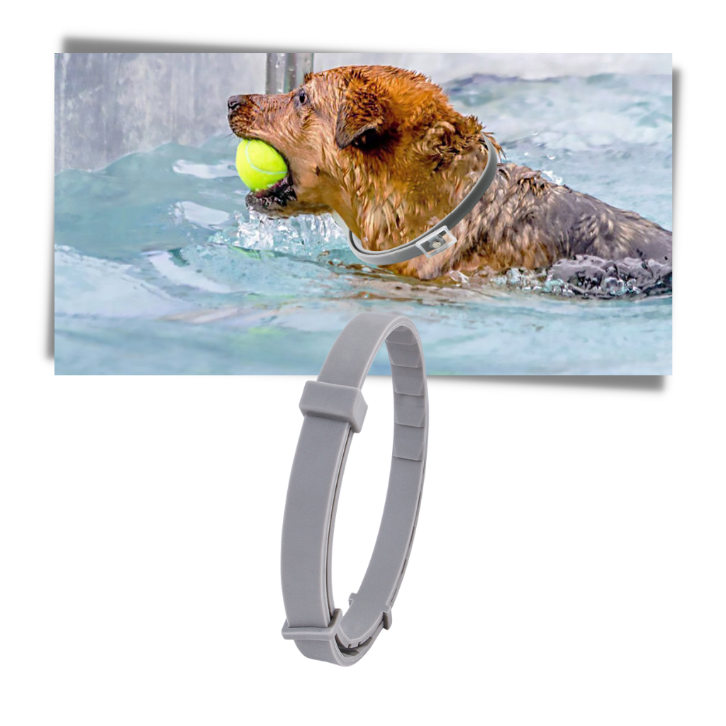 Anti-fluehalsbånd til kæledyr - Ozerty