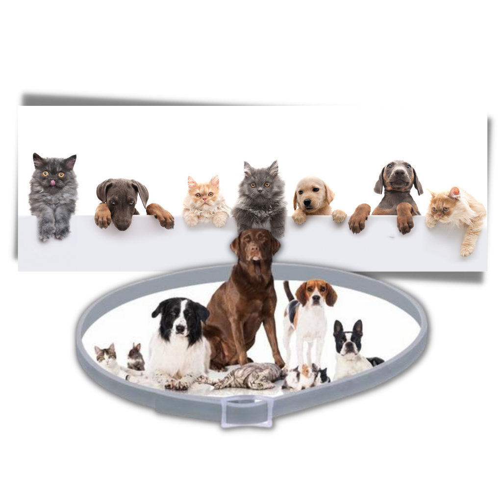 Anti-fluehalsbånd til kæledyr - Ozerty