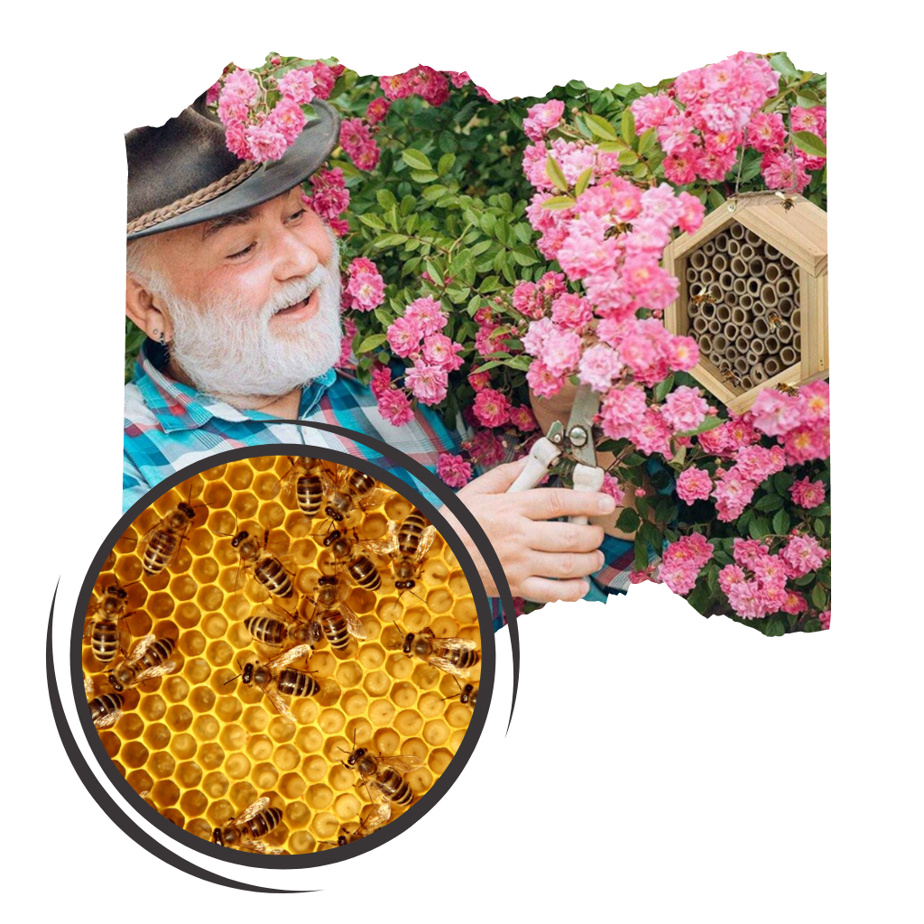 Sekskantet Bihus i Træ - Ozerty
