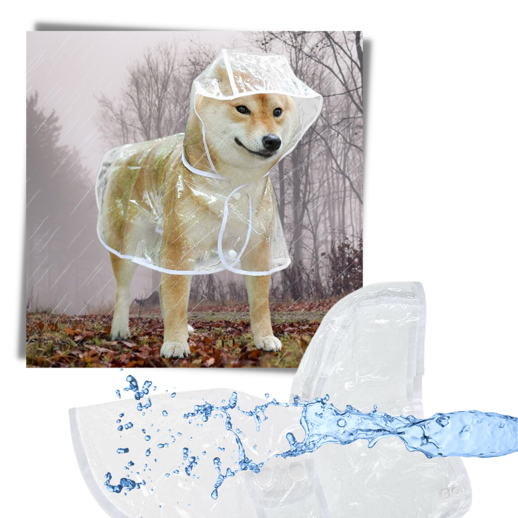 Hætteklædte regnjakker til hunde - Ozerty