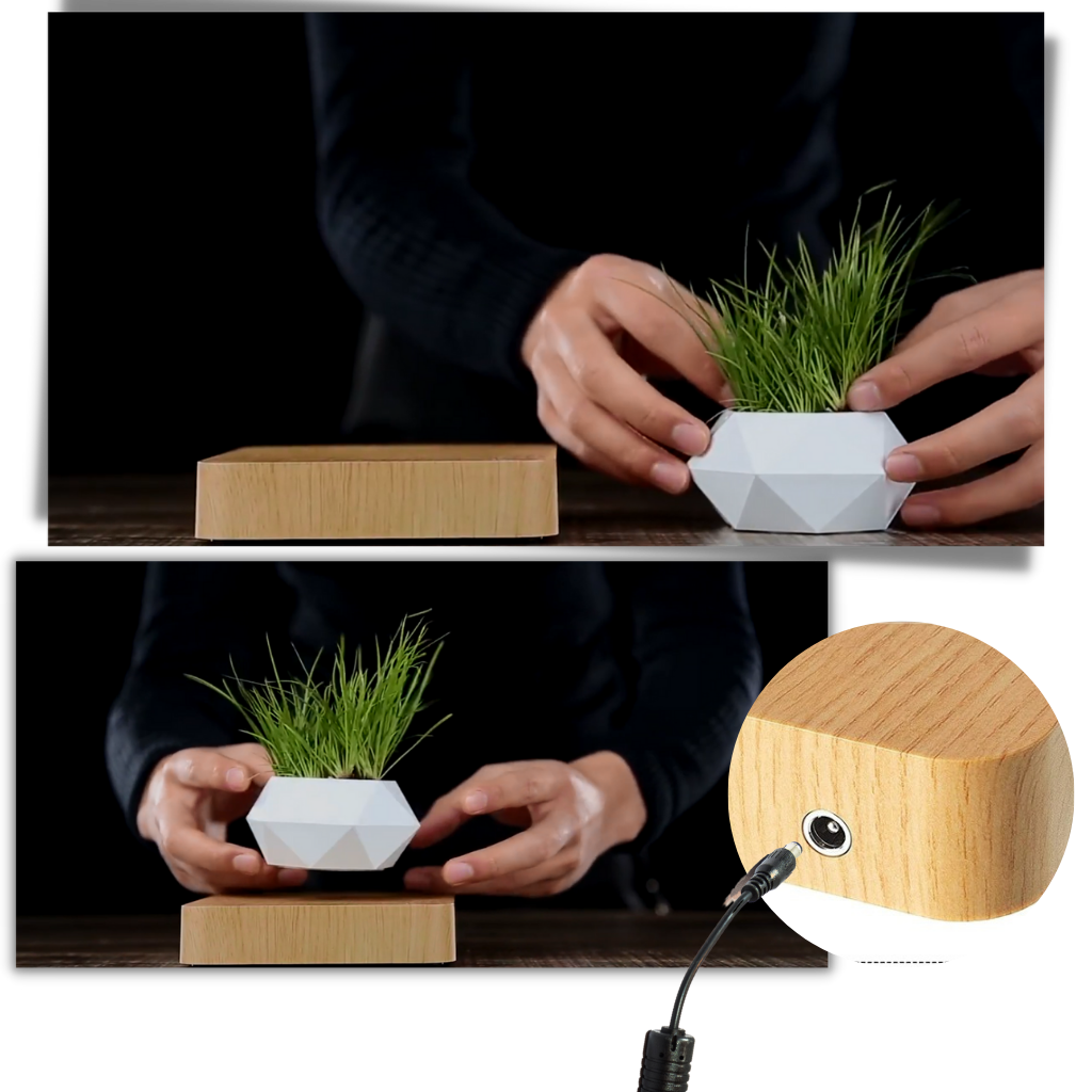 Svævende luft potteplante - Ozerty
