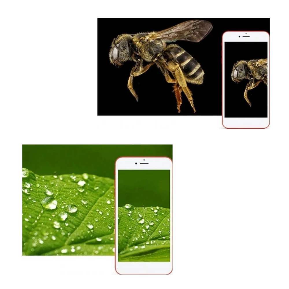 USB-digitalt mikroskop med LED - Ozerty