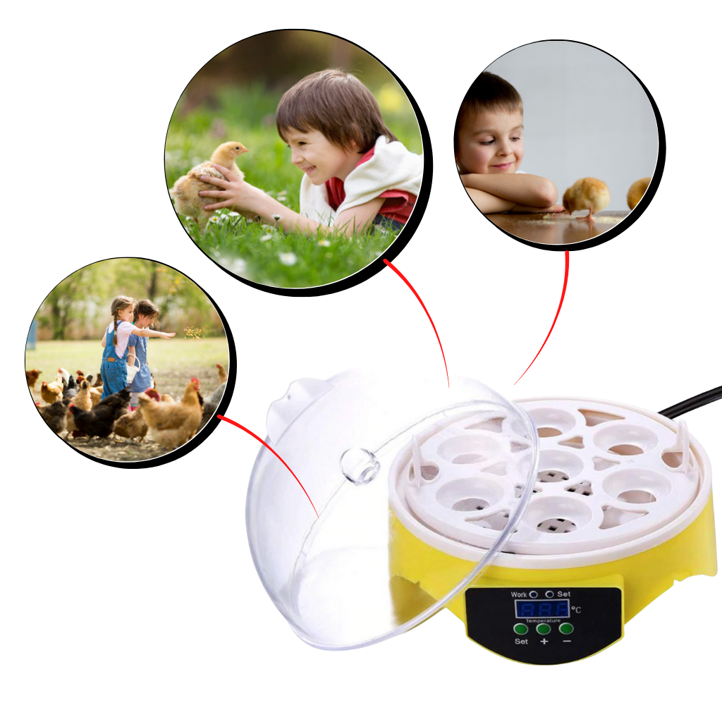 Mini Automatisk Rugemaskine - Ozerty