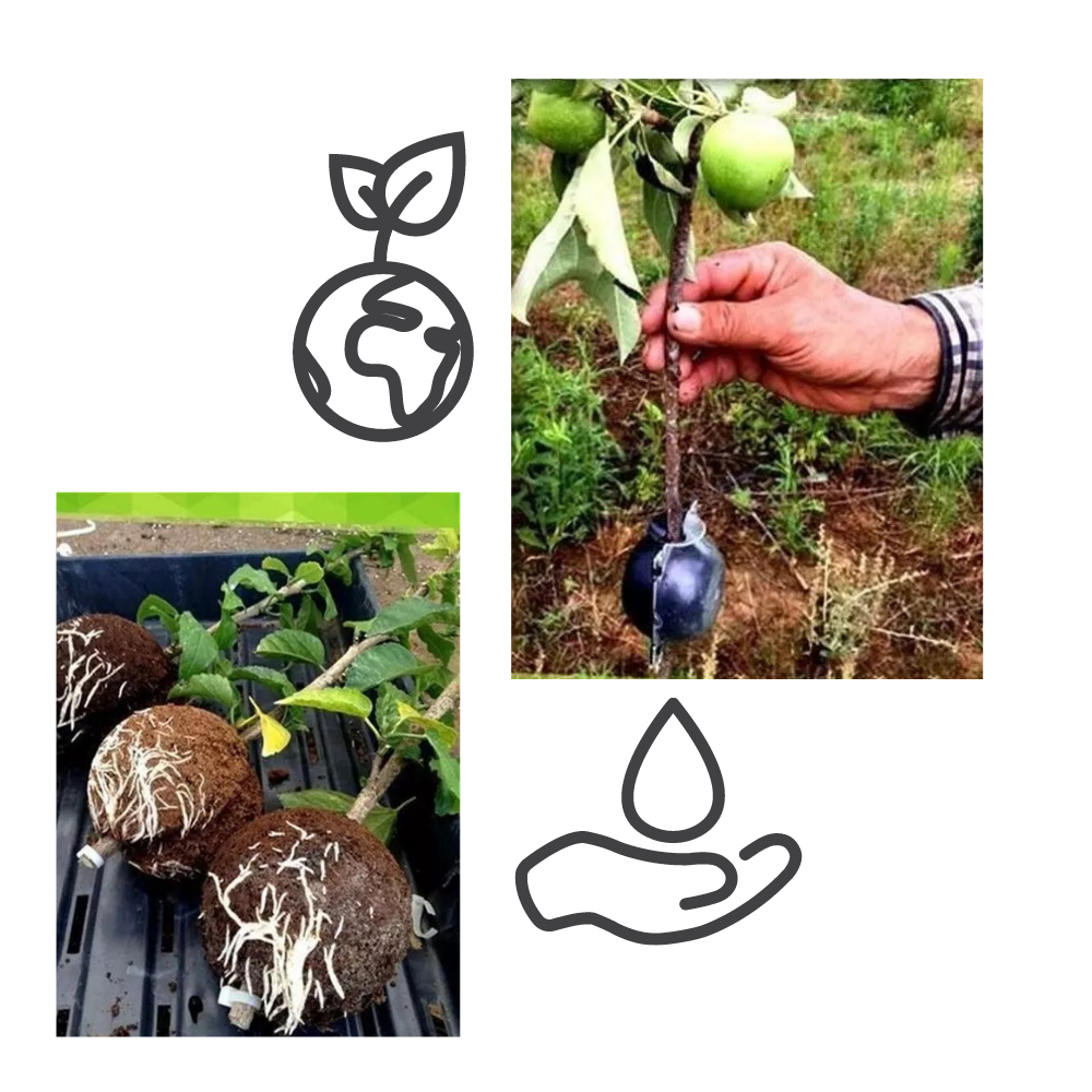 Pakke med 3 luftlagsplantekasser - Ozerty