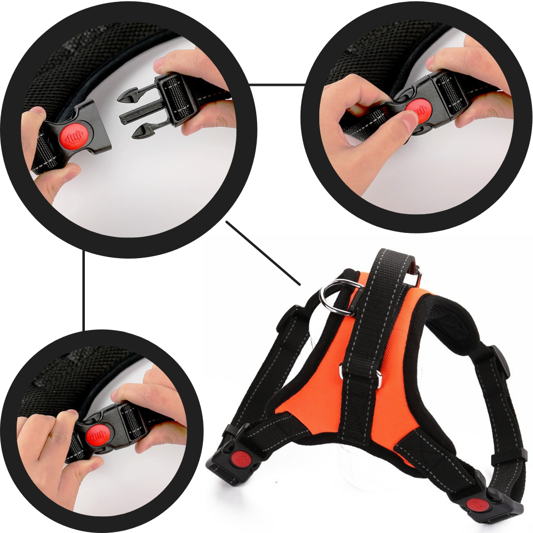 Reflekterende justerbar sadelhundesele - Ozerty