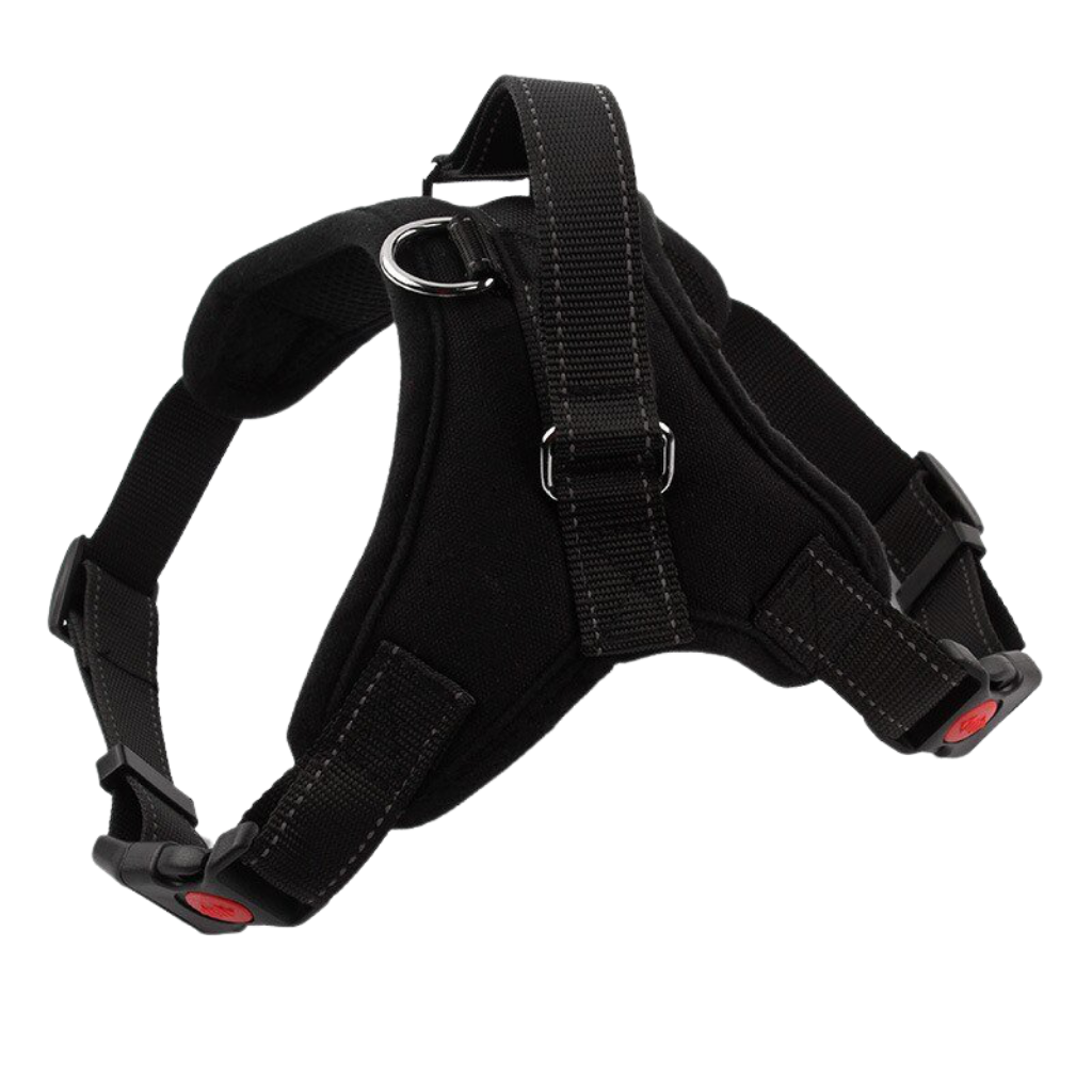 Reflekterende justerbar sadelhundesele