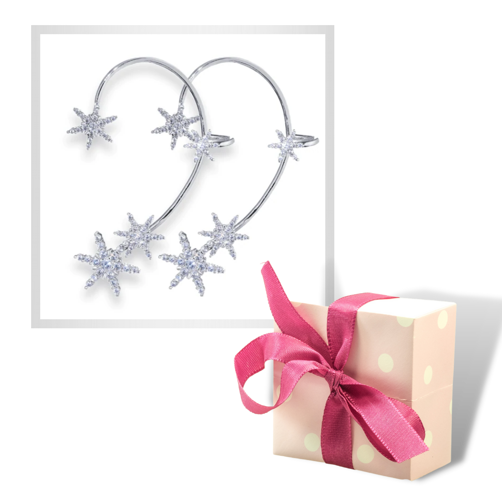 Par zirconia clip-on fashion øreringe - Ozerty