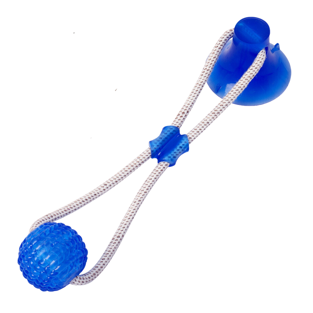 Hundetræksbolds legetøj med sugekop