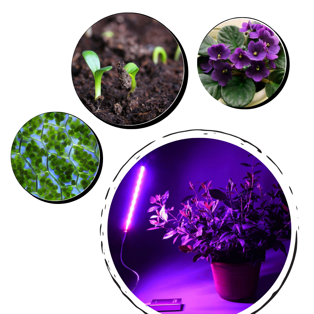 USB og LED-Grolys til Planter med Fleksibel Stang - Ozerty