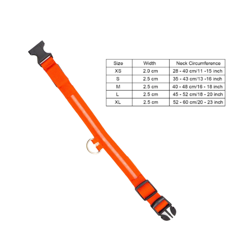 USB Genopladeligt LED-Kæledyrshalsbånd - Ozerty