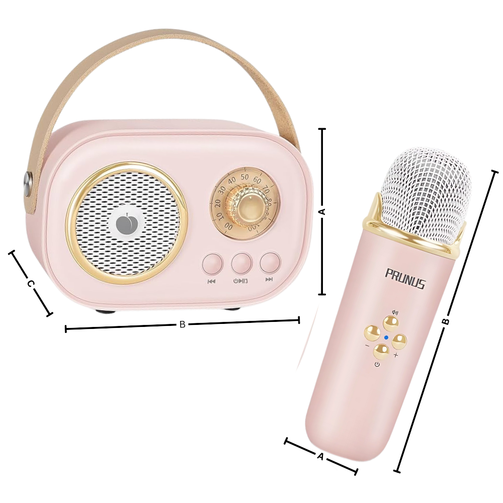 Bluetooth Mini Karaoke med to mikrofoner til børn - Ozerty