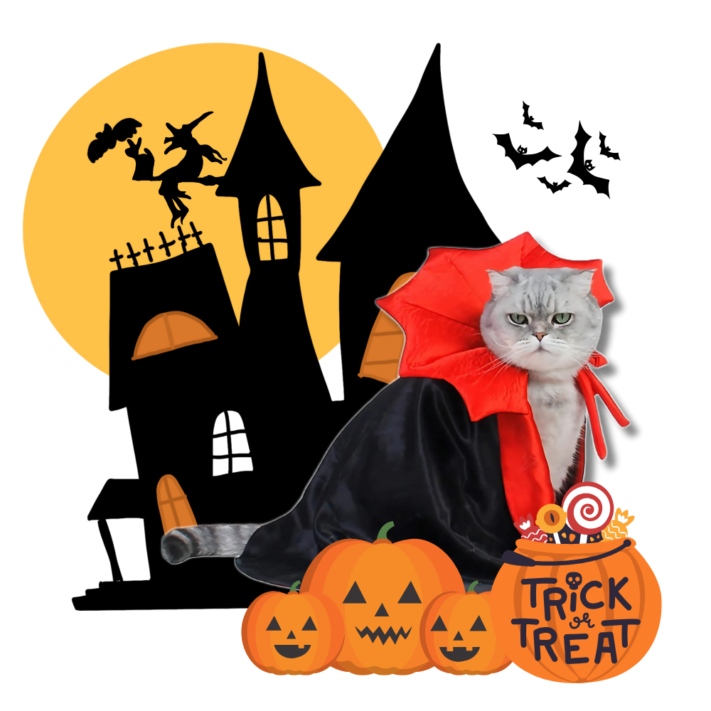 Sødt Dracula-kæledyrskostume til Halloween - Ozerty