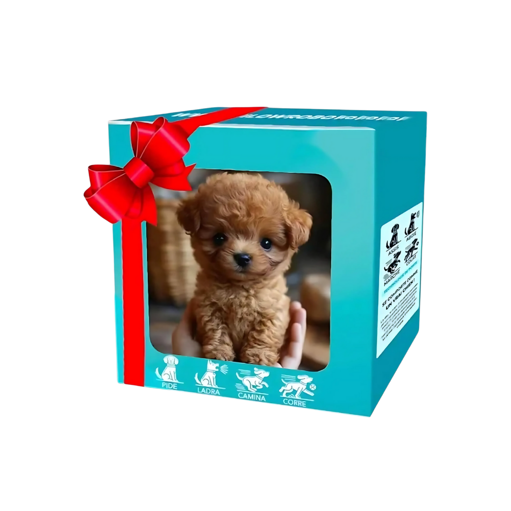 Sød Robot Hvalp Kat -Hund Krøllet - Ozerty