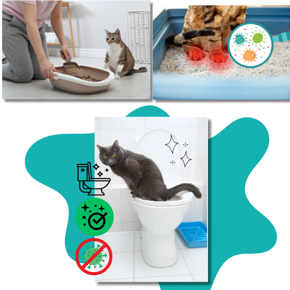 Låg til nem toilettræning for katte - Ozerty