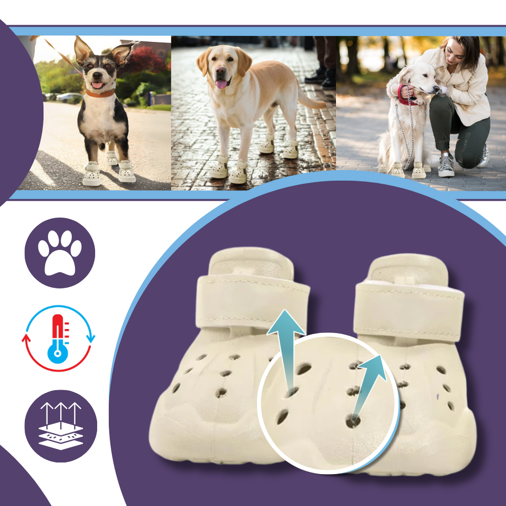 Paw Guard Støvler - Ozerty