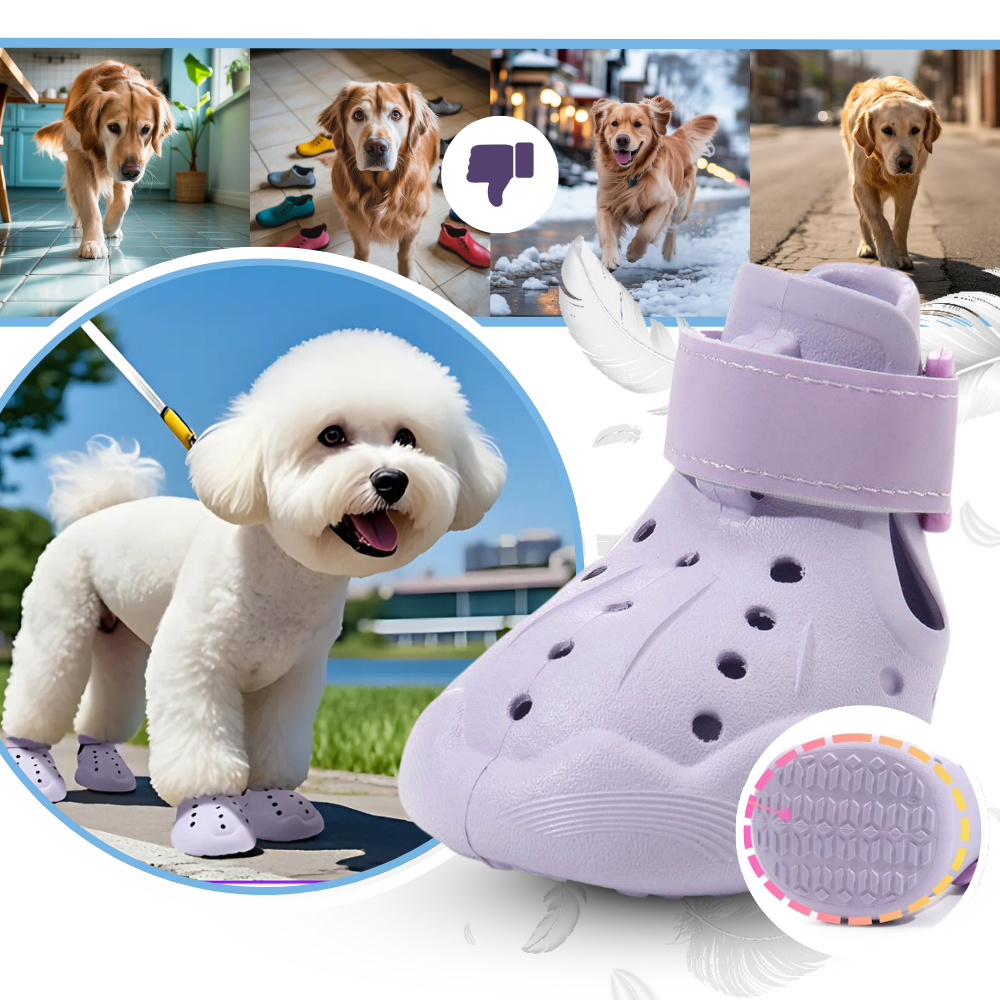 Paw Guard Støvler - Ozerty