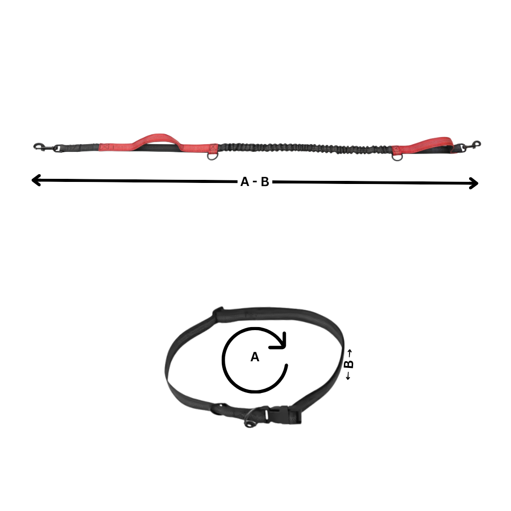 Sikker og ergonomisk taljesnor til hunde - Ozerty