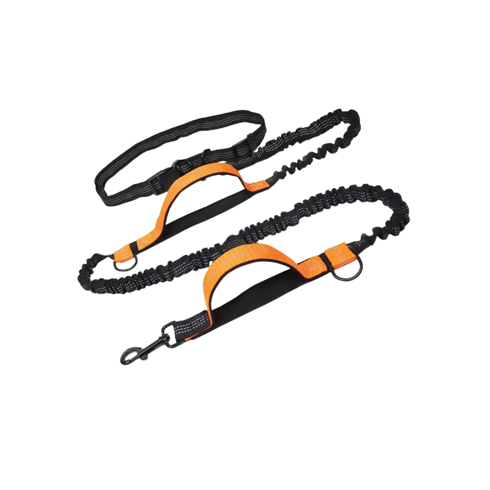 Sikker og ergonomisk taljesnor til hunde -Orange - Ozerty