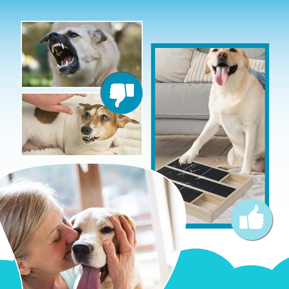 Stress Free Treats neglekløbræt til hunde - Ozerty