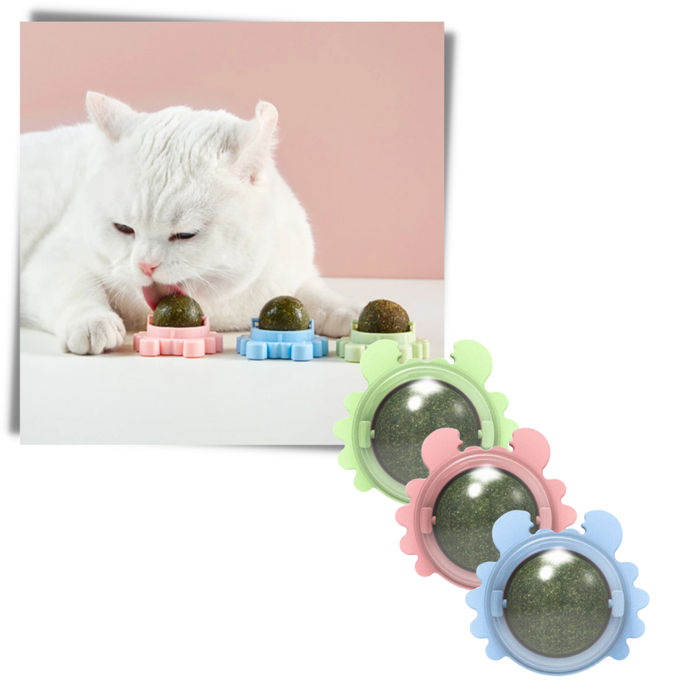 Roterbar myntekuglelegetøj til katte - Ozerty