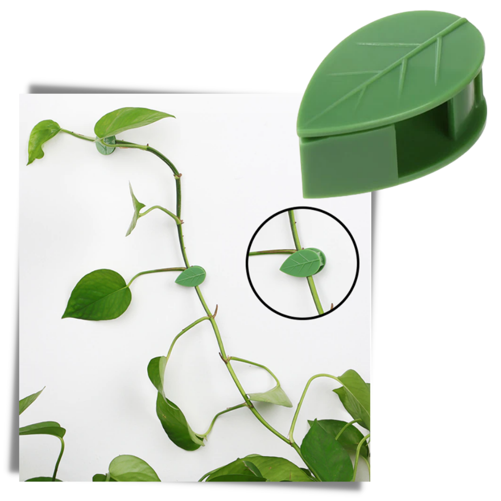 Pakke med 20 bladformede selvklæbende klemmer til klatreplanter - Ozerty