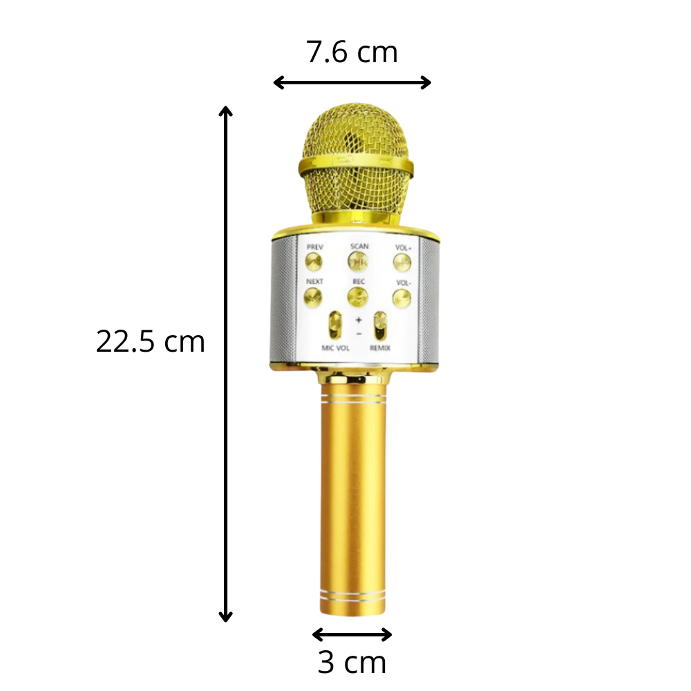 Trådløs Bluetooth karaoke-mikrofon - Ozerty