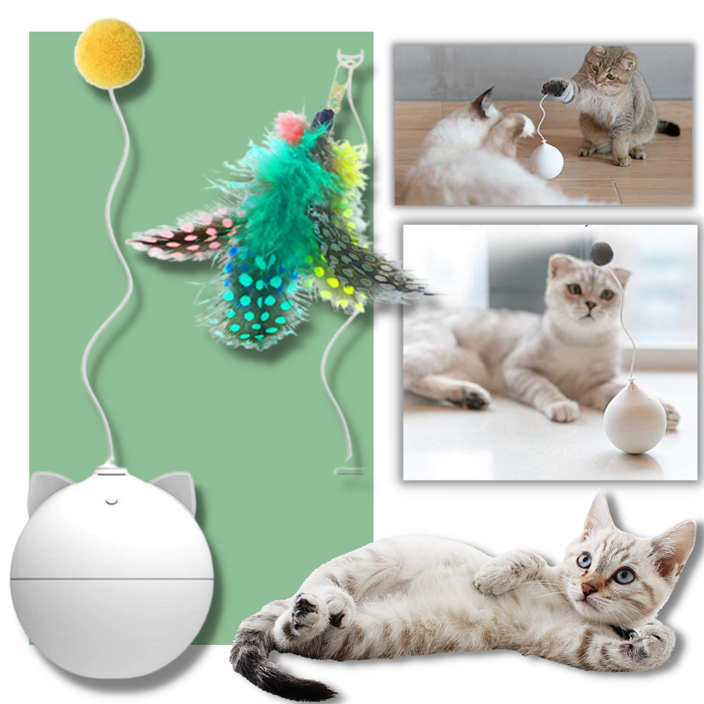 Kattelegetøjsbold med automatisk rullefunktion - Ozerty