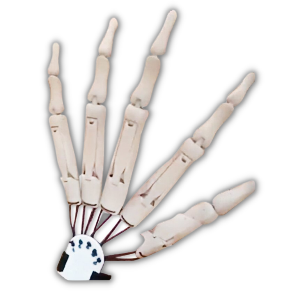 Falsk skelethåndhandske