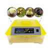 Automatisk rugemaskine til udrugning af 48 æg - Ozerty