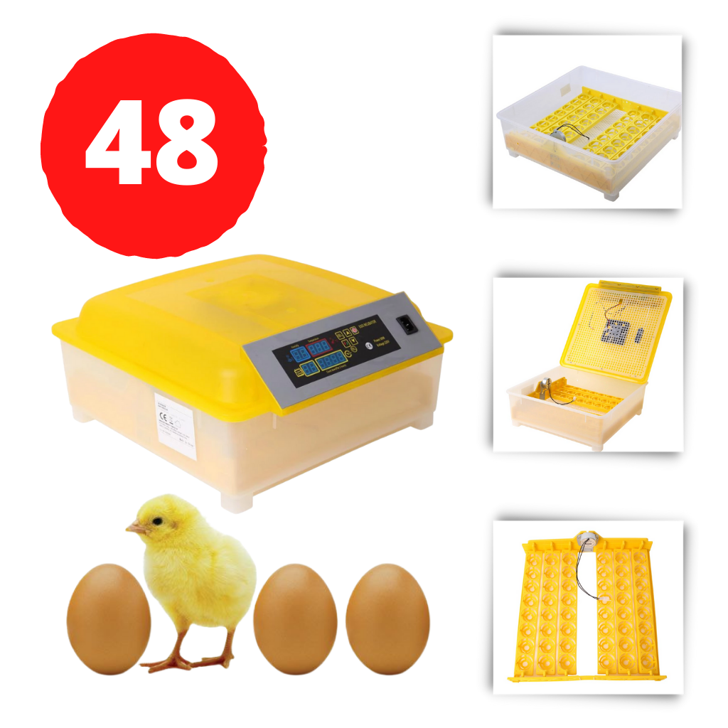 Automatisk rugemaskine til udrugning af 48 æg - Ozerty