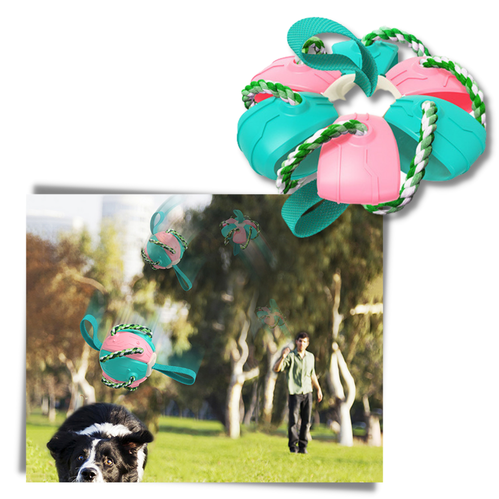 Frisbee bold hundelegetøj - Ozerty