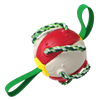 Frisbee bold hundelegetøj