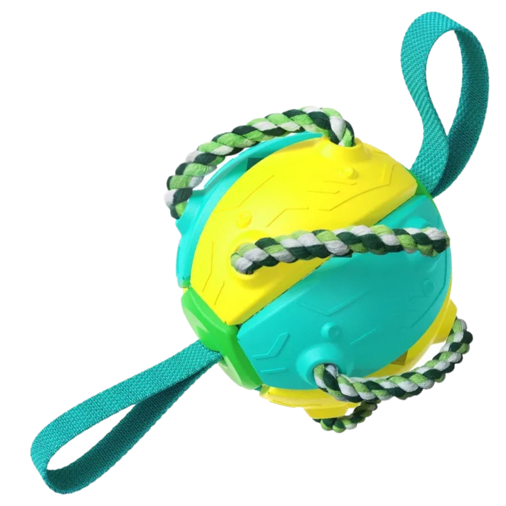 Frisbee bold hundelegetøj