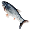 Sprællende fisk kattelegetøj