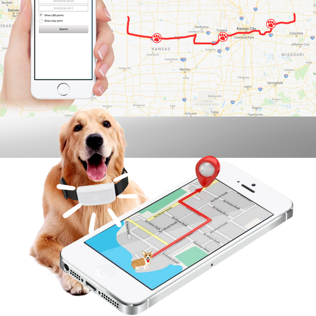 GPS-sporingshalsbånd til kæledyr - Ozerty