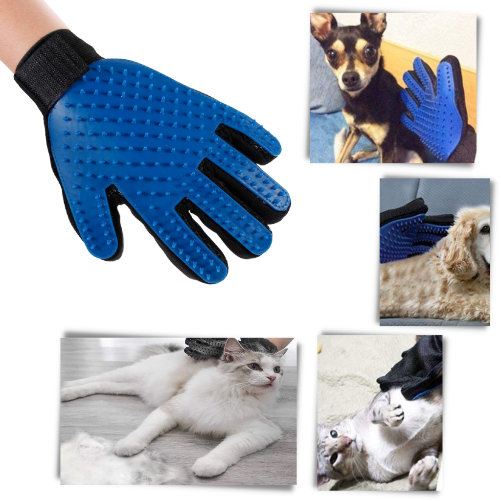 til køledyrspleje (1 | Hund kat - Vandtæt handske Børste - Massage - Ozerty Danmark