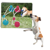Hundetræksbolds legetøj med sugekop - Ozerty