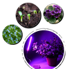 USB og LED-Grolys til Planter med Fleksibel Stang - Ozerty