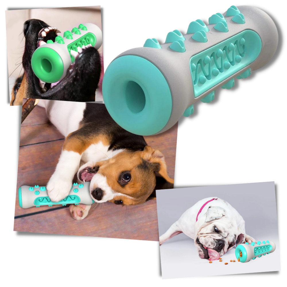 Tandplejende tyggelegetøj til hunde

 - Ozerty